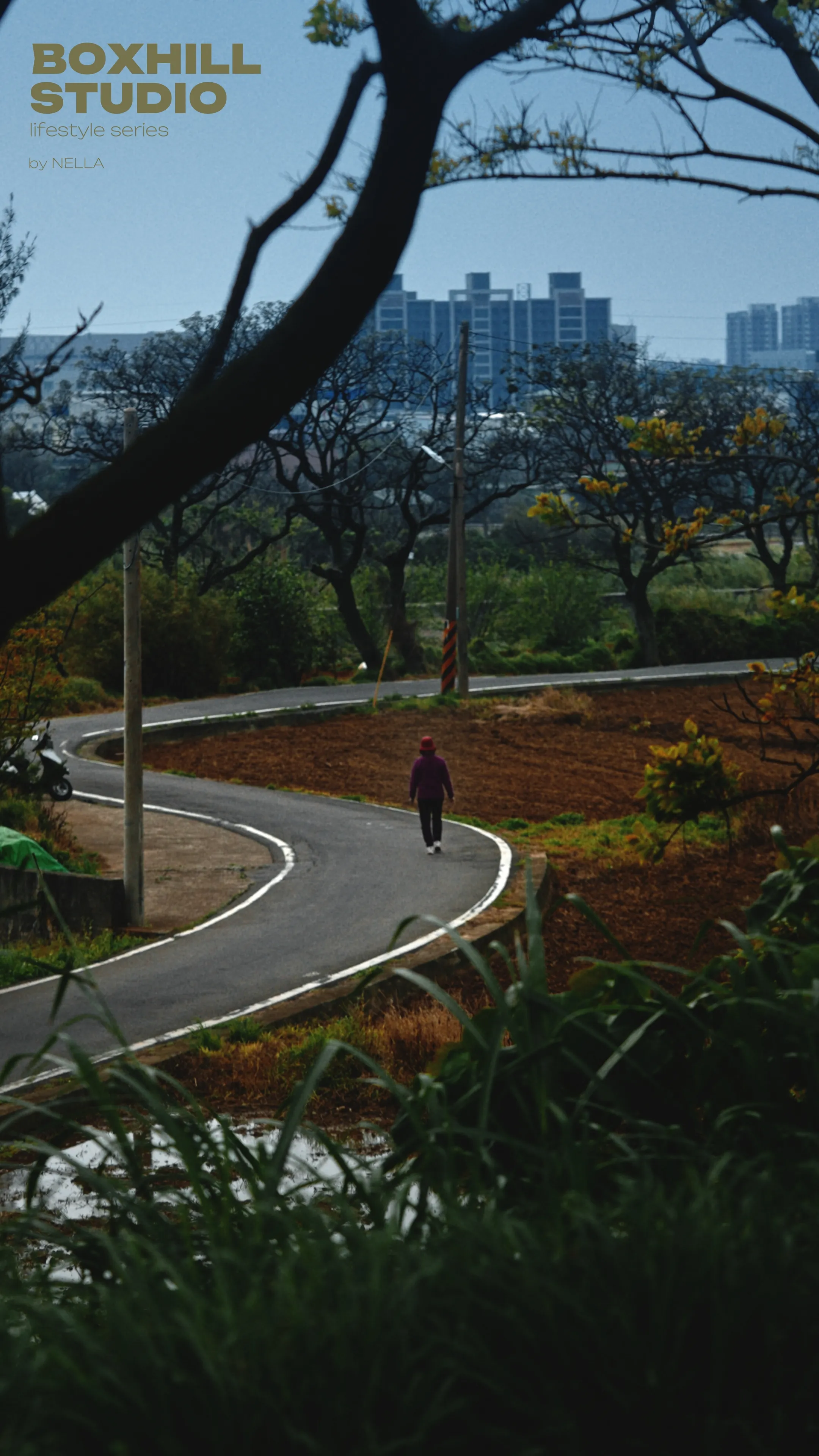 樹林間的白邊步道蜿蜒向遠方,一名行人走在彎道上,背景可見城市高樓
