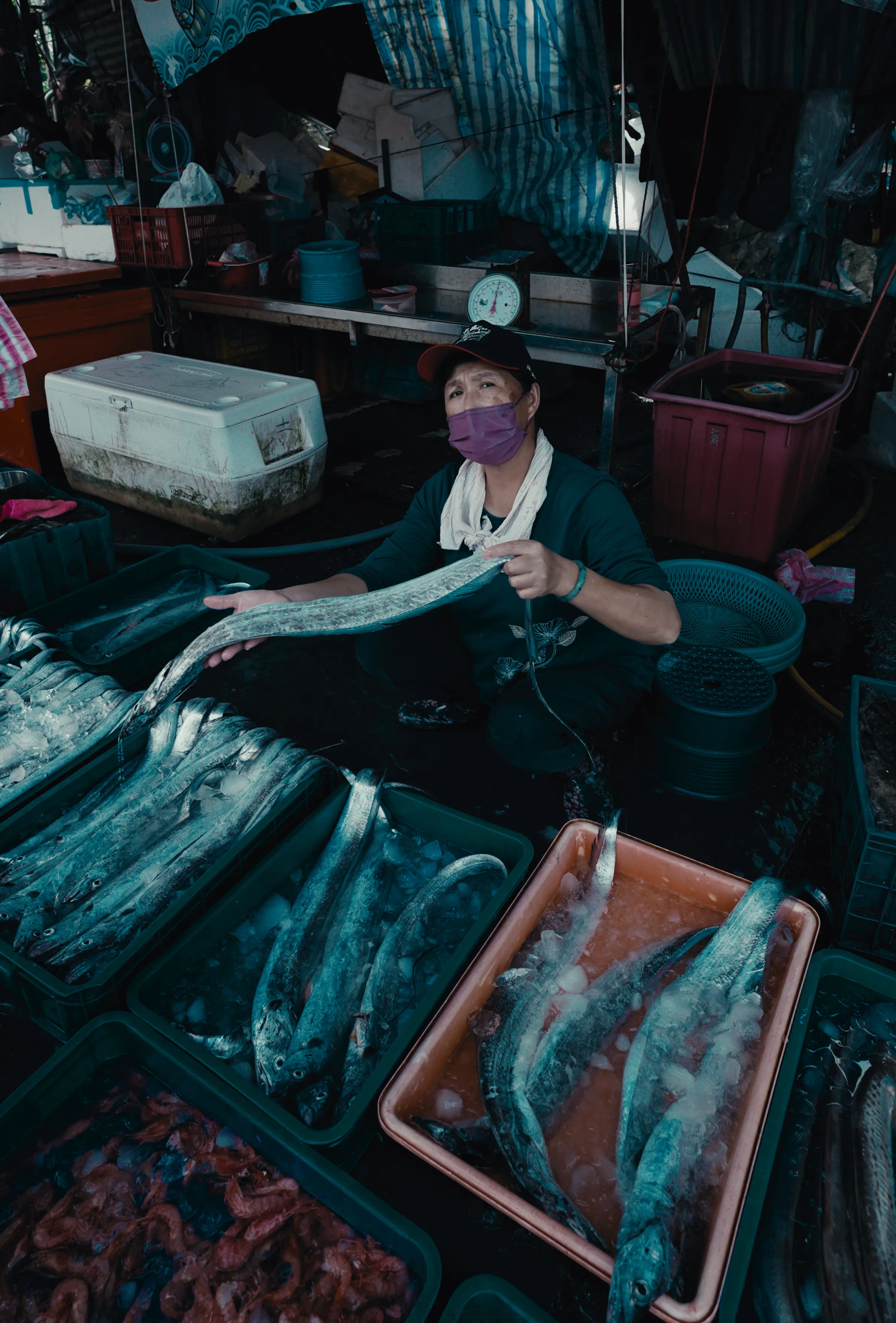 魚市場攤位上排列多箱銀色鮮魚,紅色塑膠籃沿通道擺放