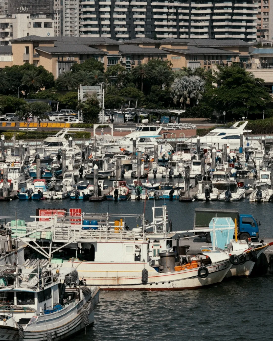 高處俯瞰停滿白色船隻的遊艇港,後方可見道路、樹木與大型建築
